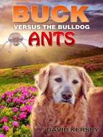 Buck Vs. the Bulldog Ants