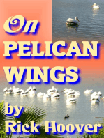 On Pelican Wings