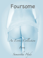 Foursome: An Erotic Collection