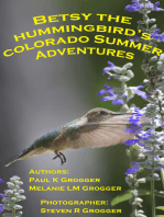 Betsy the Hummingbird's Colorado Summer Adventures