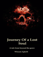 Journey Of a Lost Soul