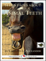 14 Fun Facts About Animal Teeth: Educational Version