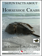 14 Fun Facts About Horseshoe Crabs: Educational Version