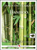 14 Fun Facts About Bamboo: Educational Version