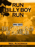 Run Billy Boy Run, Book Three: The Confluence of Disorder