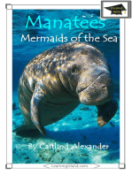 Manatees: Mermaids of the Sea: Educational Version