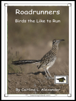 Roadrunners: Birds that Like to Run: Educational Version