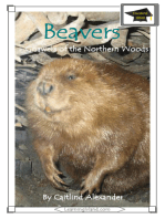 Beavers: Gnawers of the Northern Woods: Educational Version