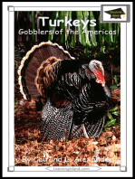Turkeys: Gobblers of the Americas: Educational Version