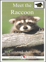 Meet the Raccoon: Educational Version