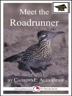 Meet the Roadrunner: Educational Version