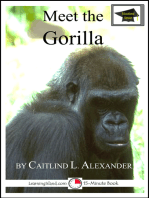Meet the Gorilla: Educational Version
