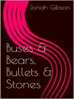 Buses and Bears, Bullets and Stones