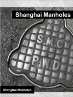 Shanghai Manholes