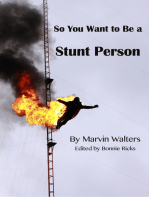 So You Want to Be a Stunt Person