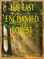 The Last Enchanted Forest