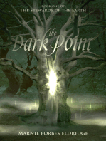 The Dark Point