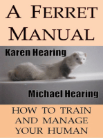 A Ferret Manual: How to Train and Manage Your Human