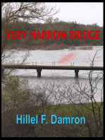 Very Narrow Bridge