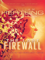 The Last Firewall