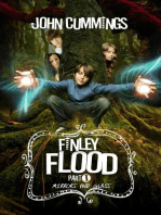 Finley Flood: Mirrors and Glass