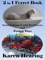 2 in 1 Ferret Book: Getting Started with Pet Ferrets and Ferret Toys