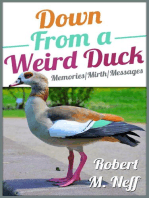 Down From A Weird duck