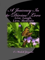 A Journey In to Divine Love