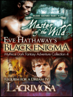 Black Enigma 4