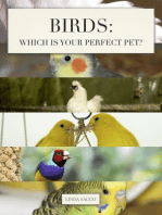 Birds: Which is Your Perfect Pet?