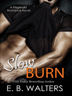 Slow Burn (Book 1 of the Fitzgerald Family)