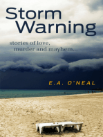 Storm Warning (Crime Fiction)