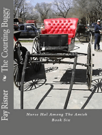 The Courting Buggy: Nurse Hal Among The Amish