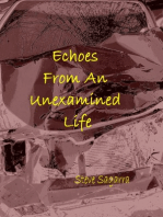 Echoes From An Unexamined Life
