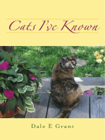 Cats I've Known