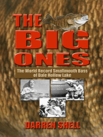 The Big Ones