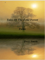 Tales Of The Echo Forest, Twins