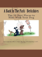 A Bark In The Park-Berkshires: The 20 Best Places To Hike With Your Dog
