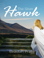 The Silver Hawk