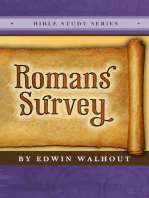 Romans Survey