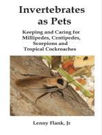 Invertebrates as Pets: Keeping and Caring for MIllipedes, Centipedes, Scorpions and Tropical Cockroaches