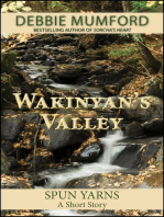 Wakinyan's Valley