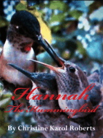 Hannah the Hummingbird