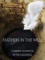 Feathers in the Well