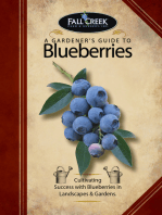 A Gardener's Guide to Blueberries