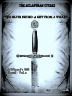 The Silver Sword: A Gift From A Wizard