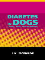 Diabetes in Dogs