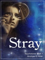 Stray: Touchstone Part 1