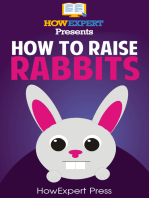 How To Raise Rabbits