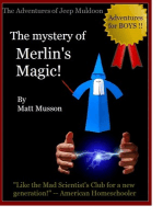 The Mystery of Merlin's Magic
